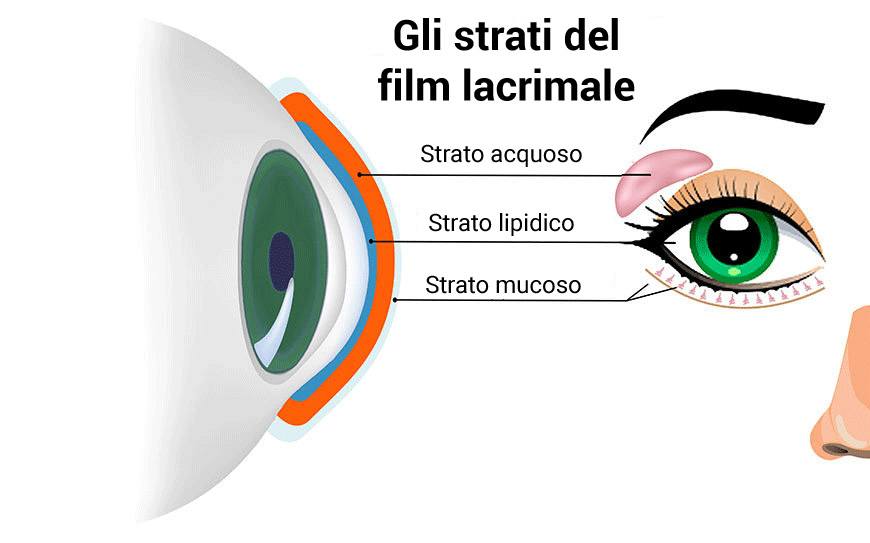 Gli strati del film lacrimale