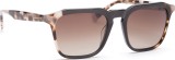 Hawkers Leo Black Eternity 4028