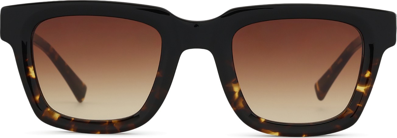 Ocean sunglasses Occhiali da sole polarizzati Queens Marrone
