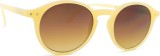 Izipizi Sun #D Glossy Ivory