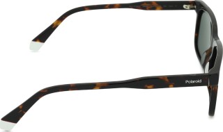 Polaroid PLD 4174/S/X 086 UC 55 45776