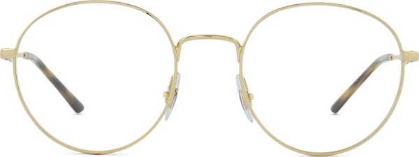 Ray-Ban 0RX3681V 2500 50