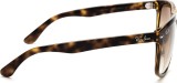 Ray-Ban Boyfriend RB4147 710/51 6860