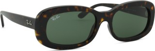 Ray-Ban RB2221 902/31
