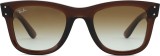 Ray-Ban Wayfarer Reverse RBR0502S 6709CB 43157