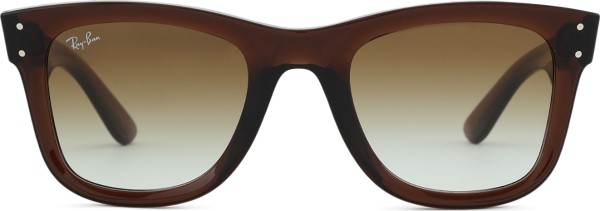 Ray-Ban Wayfarer Reverse RBR0502S 6709CB