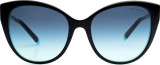 Tiffany&Co. TF4166 80559S 55 7797