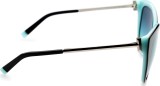 Tiffany&Co. TF4166 80559S 55 7798
