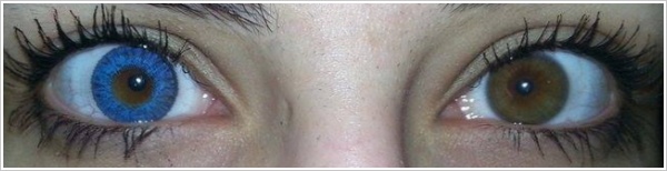 FreshLook Colors 2 lenti Lenti a contatto Lentiamo